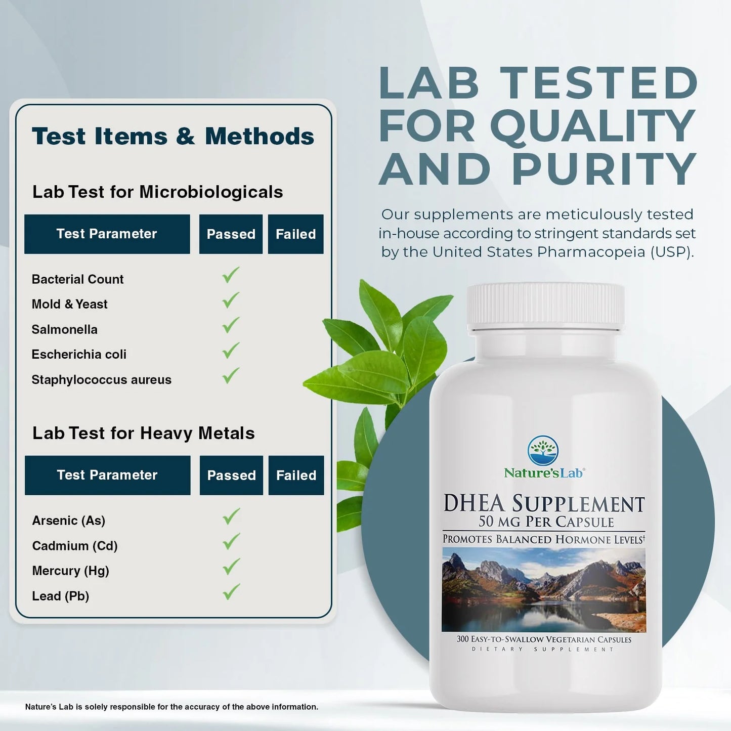 DHEA 50Mg Supplement - 300 Capsules (10 Month Supply) - Promotes Balanced Hormone Levels, Healthy Energy and Increased Mental Clarity*