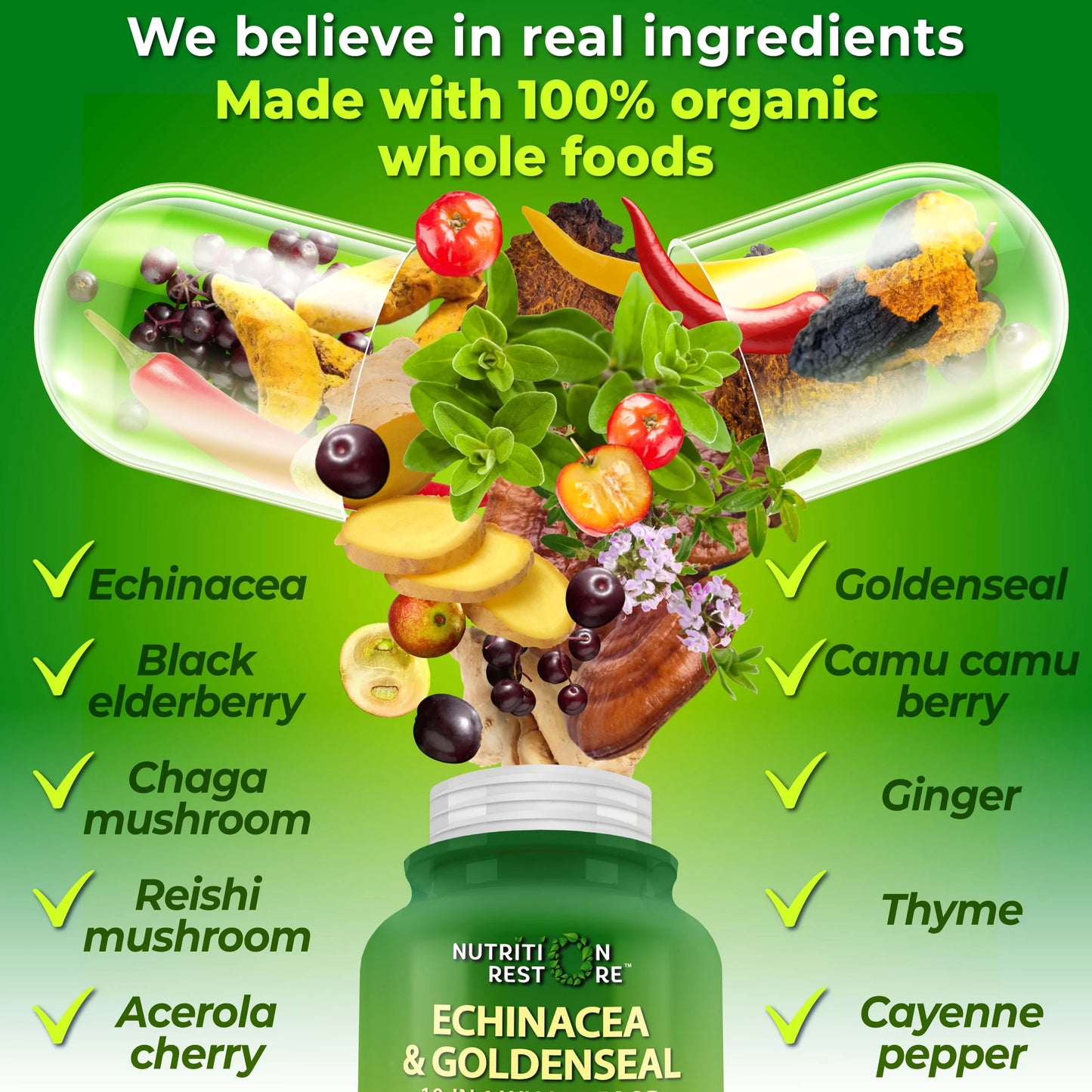 Echinacea Goldenseal Capsules 10 in 1 Vegan Herbal Immune Support Supplement, 120 Count