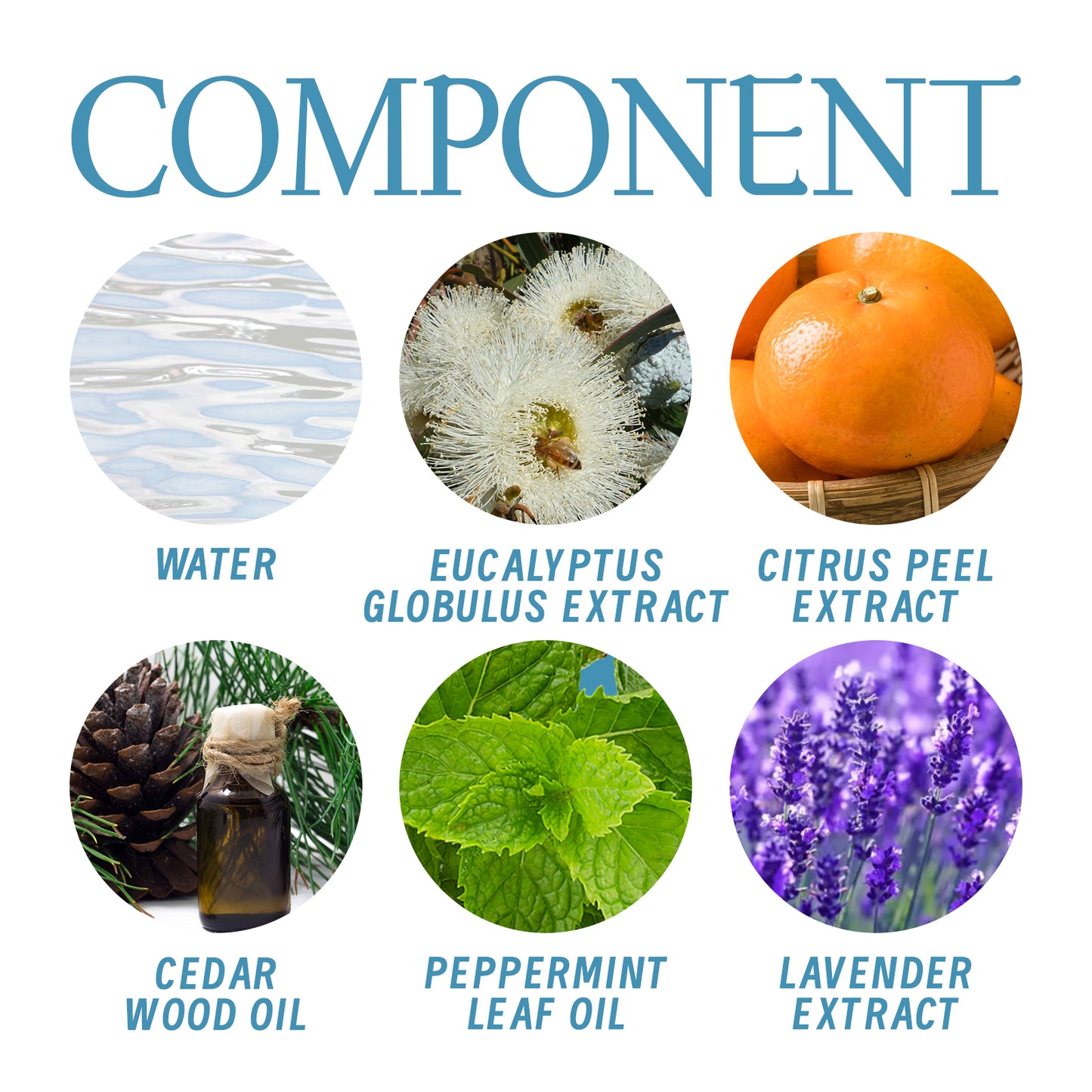 Whole Body Deodorant, Long Lasting Fragrance Clean Body Odor Body Odor Sweat Refreshing Fragrance Care Cream