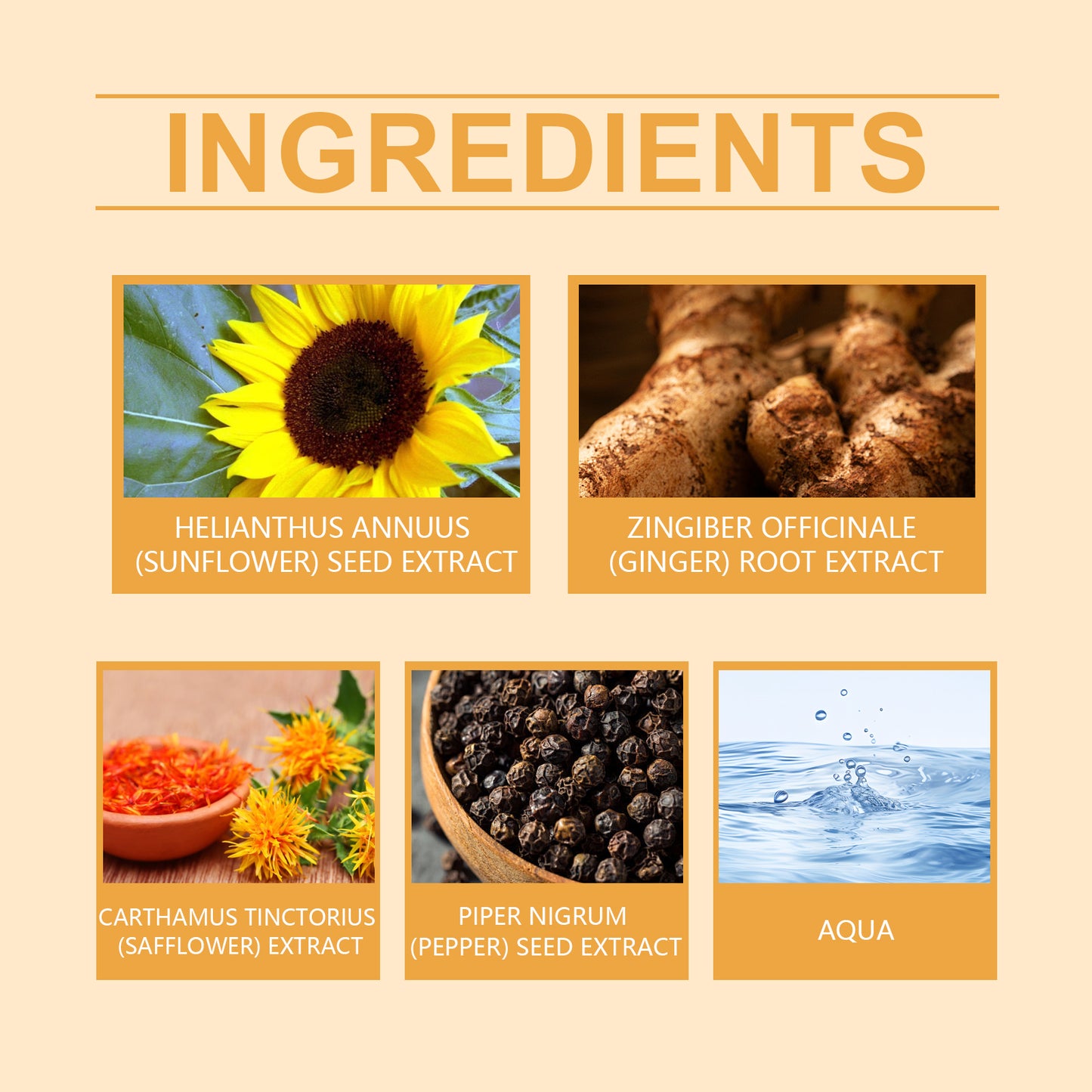 Ginger Herbal Cream Herbal Cream A Body Massage For Comfort On The Knee