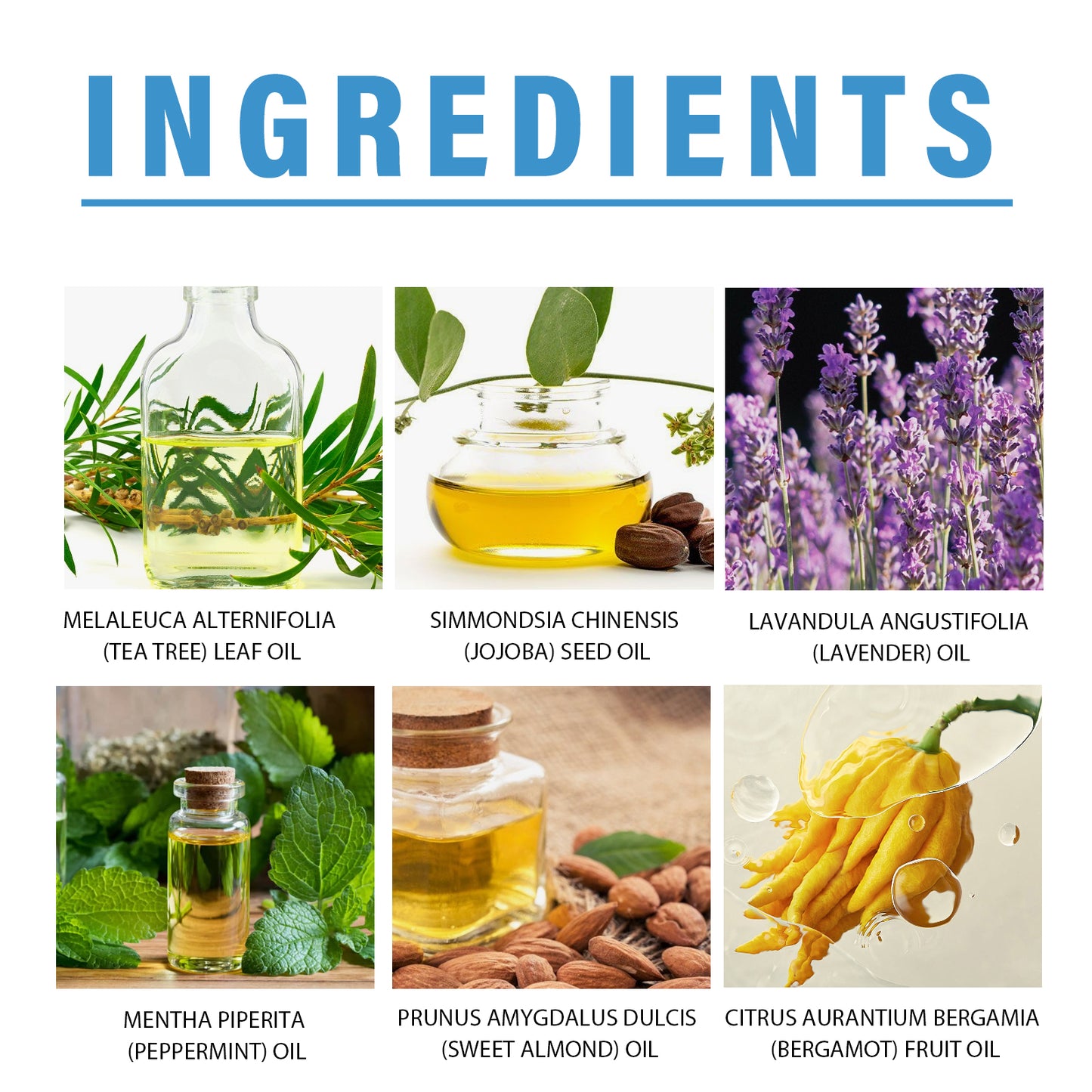 Toenail Fungus Treatment, Repair The Brotherhood Of Nails Rotten Jiasheng Mail This Soft Armour A Detailer