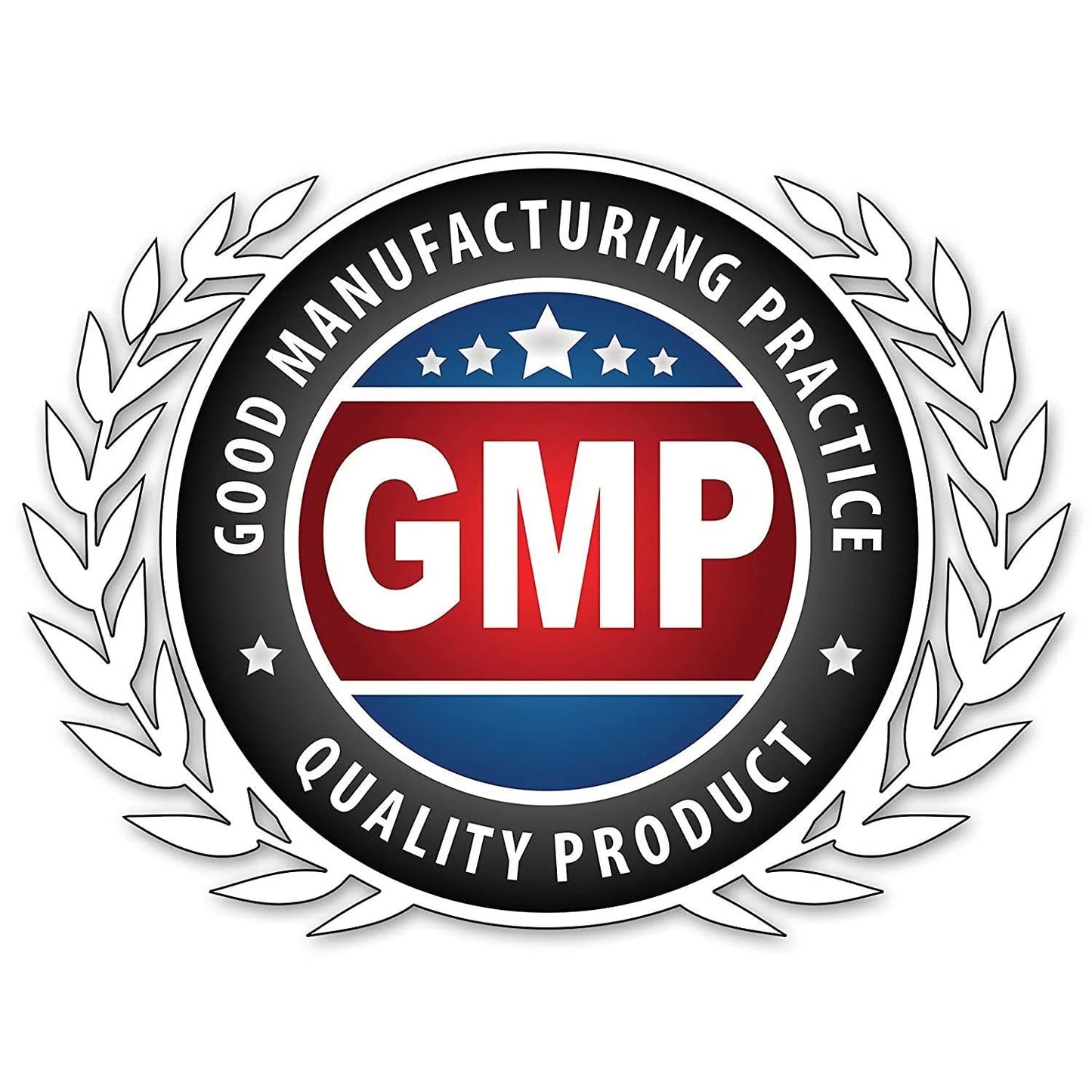 Amla 500 Mg per Serving 120 Veggie Capsules Supplement | Non-Gmo | Gluten Free | Made in USA | Suitable for Vegetarians | Pack of 3