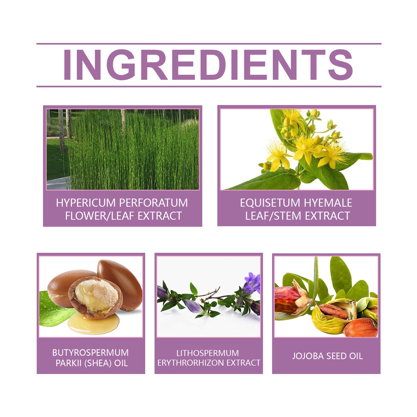 Herbal Care Cream Relieves Elbow And Knee Discomfort With A Pampering Moisturizing Herbal Massage Cream