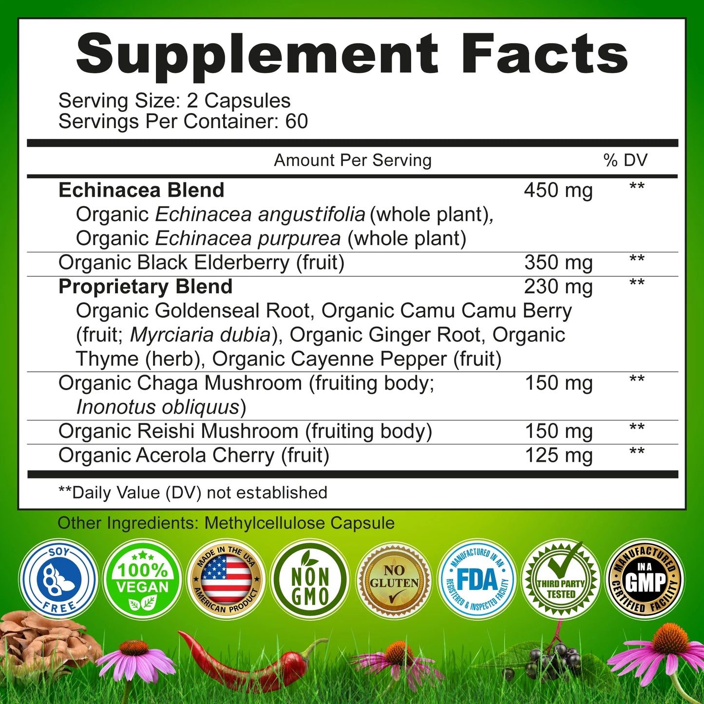 Echinacea Goldenseal Capsules 10 in 1 Vegan Herbal Immune Support Supplement, 120 Count