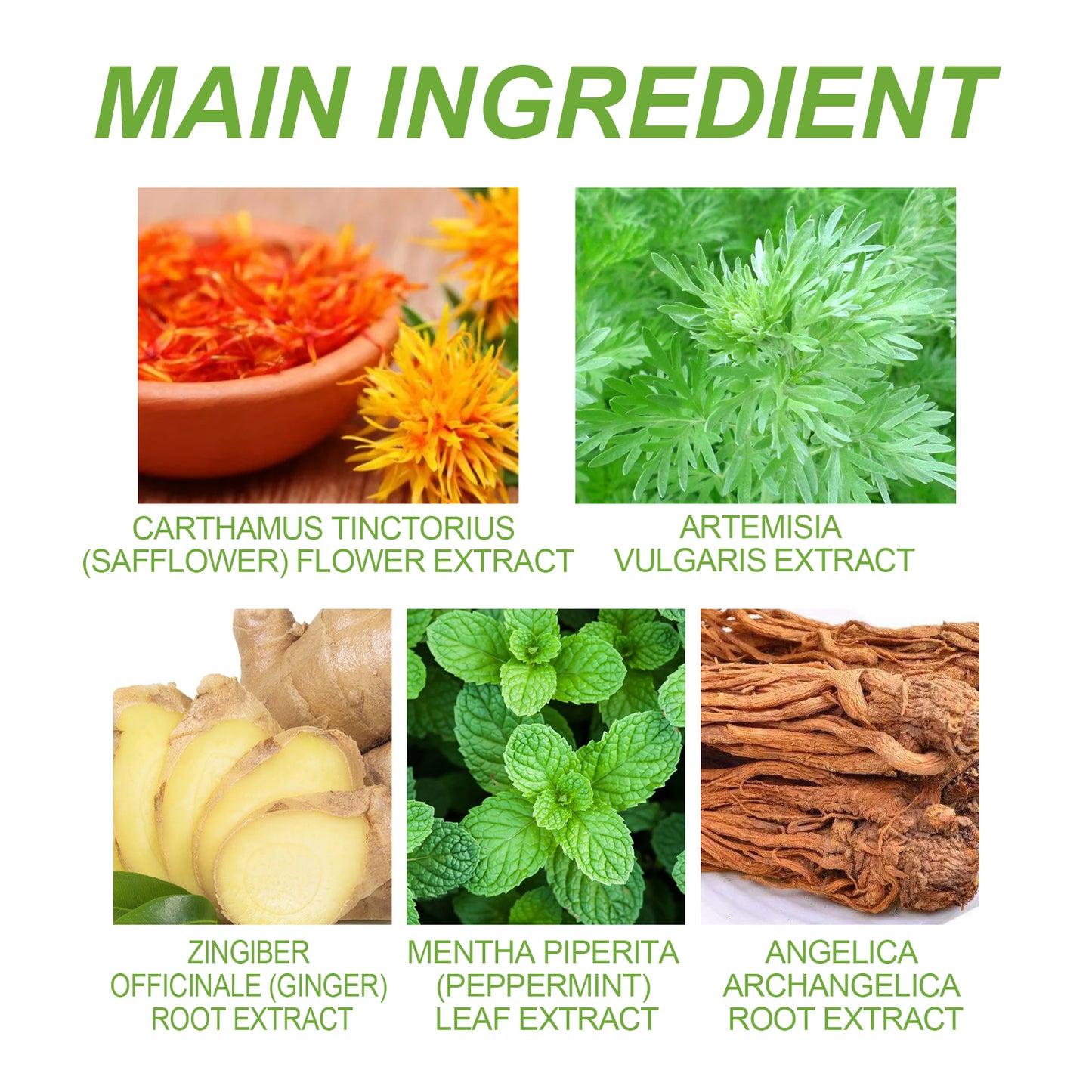 Wormwood Pain Relief Patch, Relieve Lumbar Neck Shoulder Vertebra Knee Joint Muscle Pain Discomfort Body Care Paste