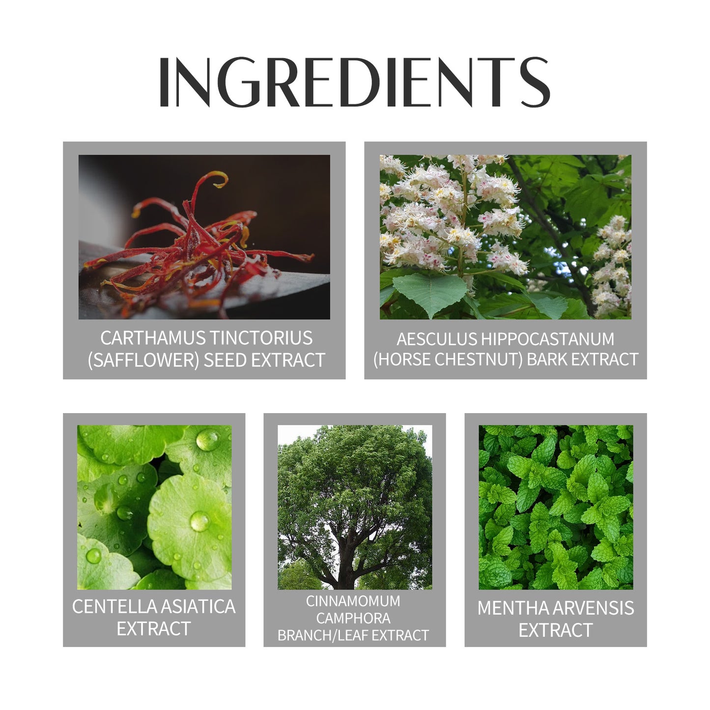 Varicose Veins Soothing Spray, Relief Of Sore Leg Muscles Massage Repair Earthworm Leg Vein Treatment Spray