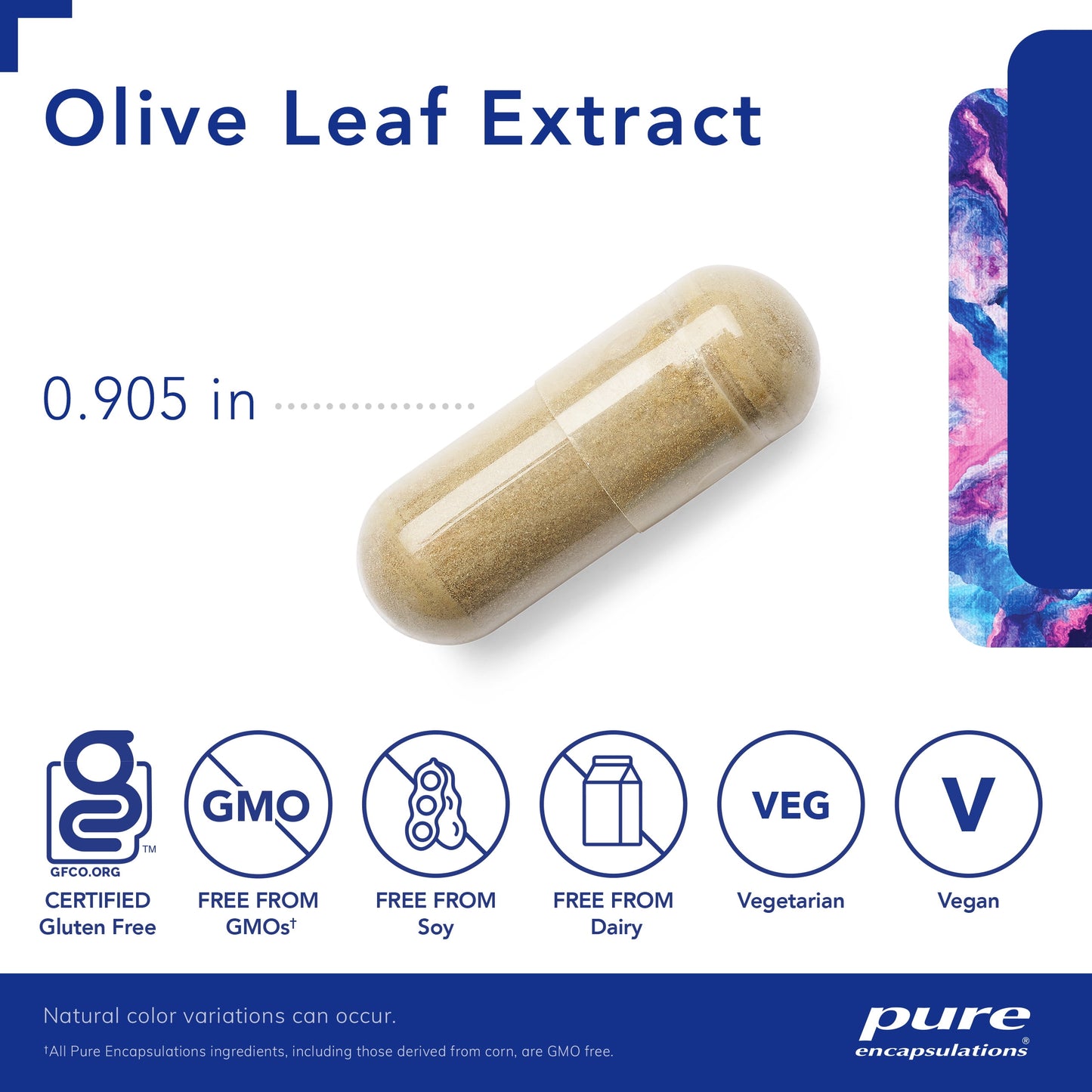 Olive Leaf Extract | Hypoallergenic Supplement Supports Immune System and Healthy Intestinal Environment | 60 Counts
