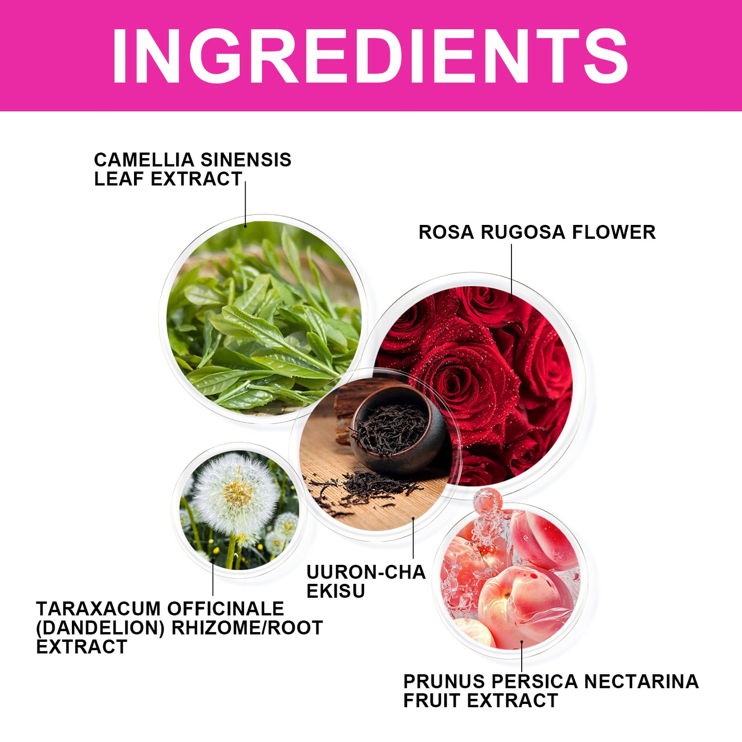 Slimming Tea, Slimming Tummy Firming Body Health Women's Light Body Shaping Green Tea