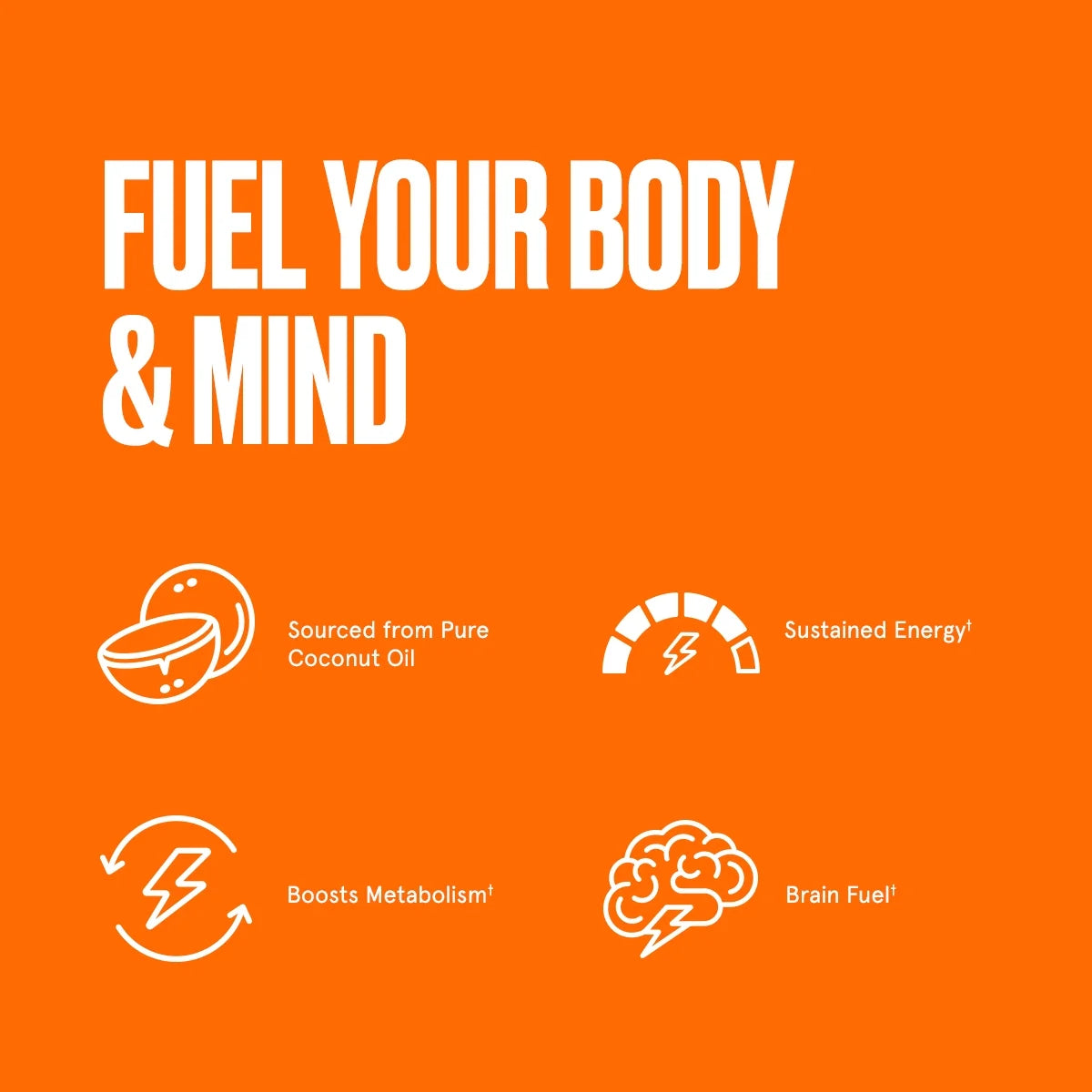 Brain Octane Oil Made with C8 Oil, 14 Ounces, MCT Oil Keto Supplement for Sustained Energy