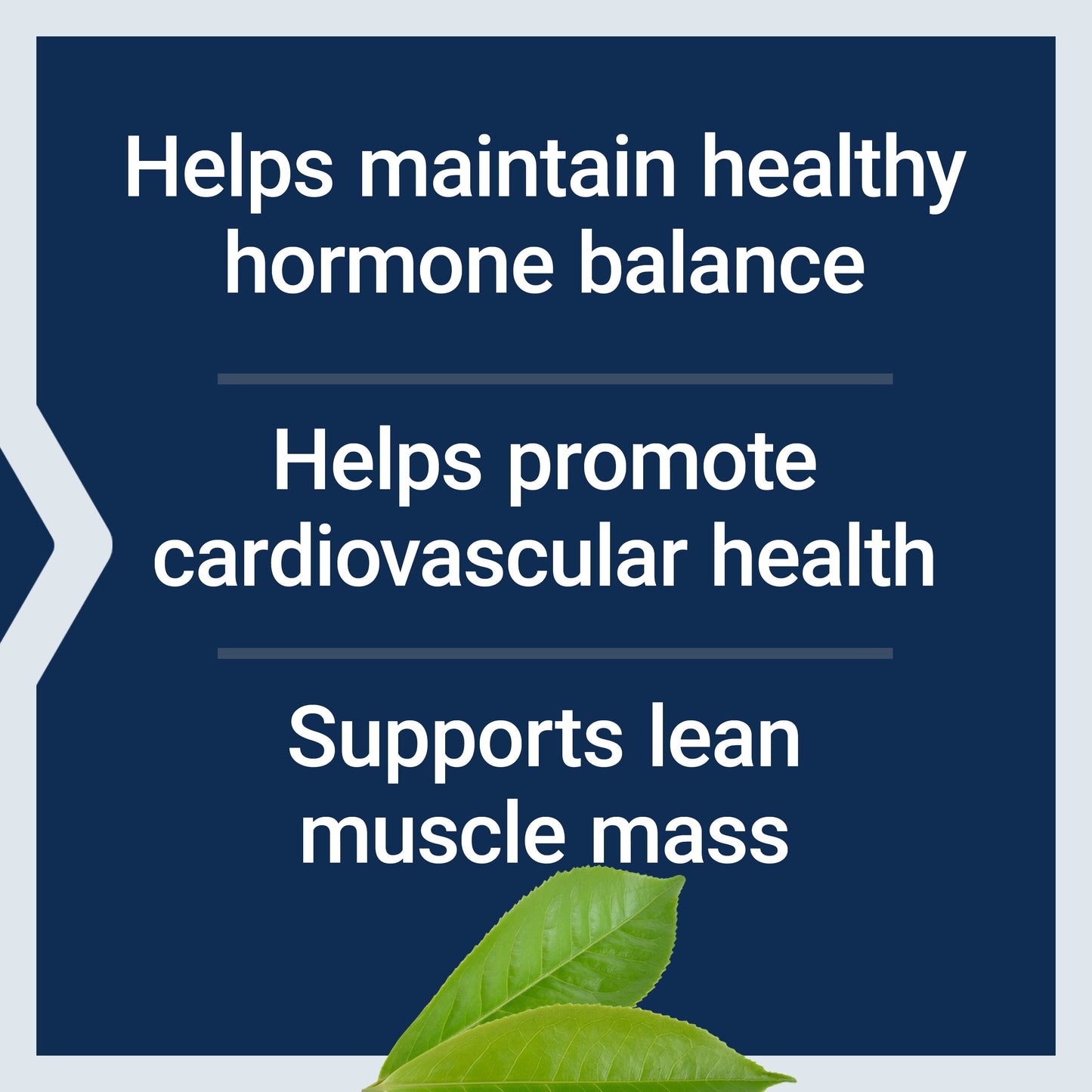 DHEA 25 Mg, Dehydroepiandrosterone, Healthy Hormone Balance, Cardiovascular Health, Lean Muscle Mass, Gluten-Free, Non-Gmo, Vegetarian, 100 Dissolve-In-Mouth Tablets