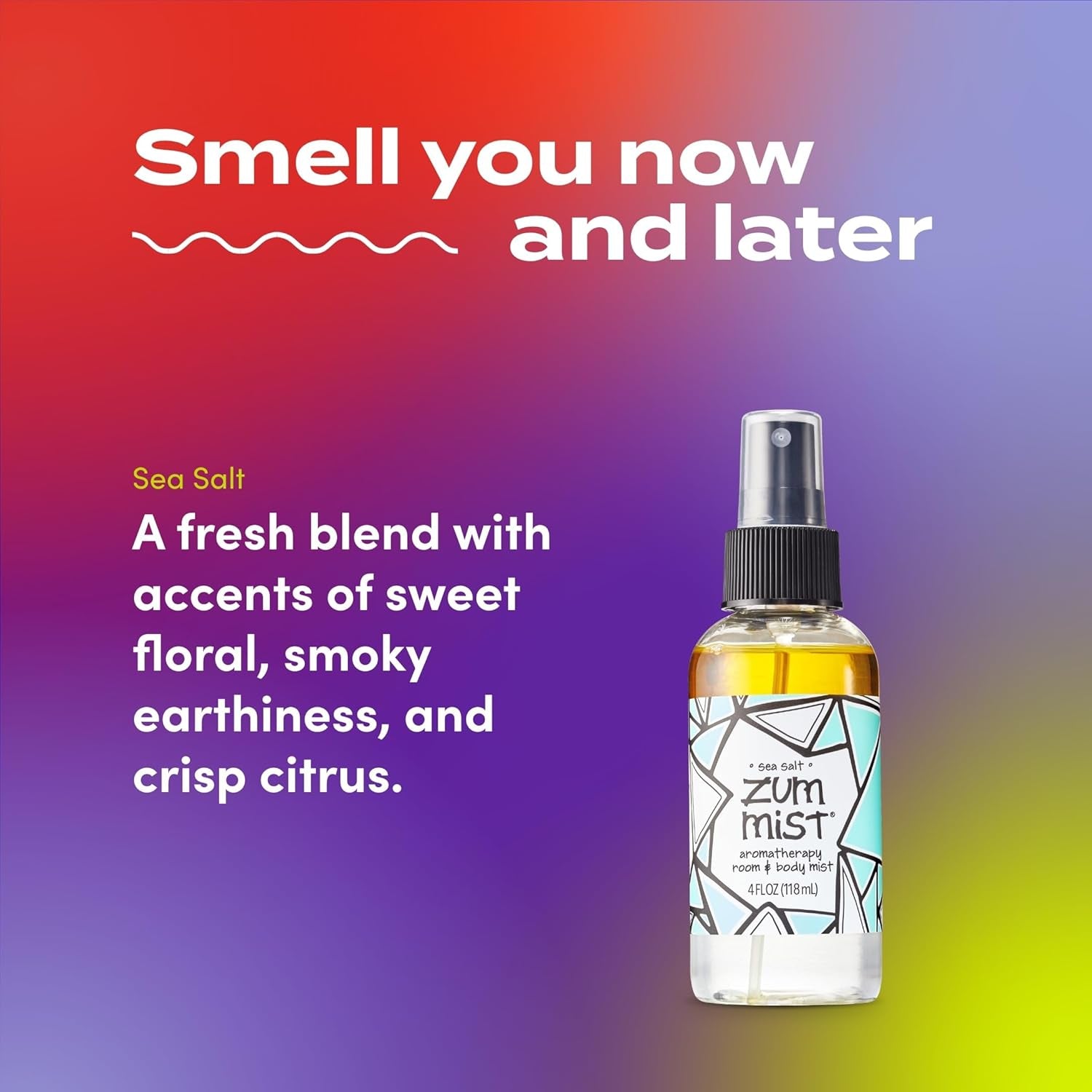 Zum Mist Room and Body Spray - Sea Salt - 4 Fl Oz (2 Pack)