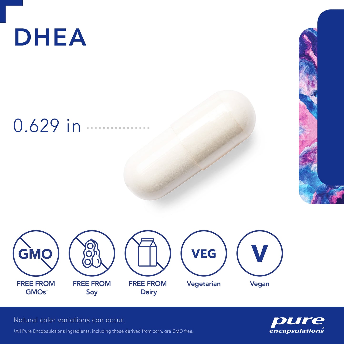 DHEA 10 Mg | Supplement for Immune Support, and Hormone Balance* | 60 Counts