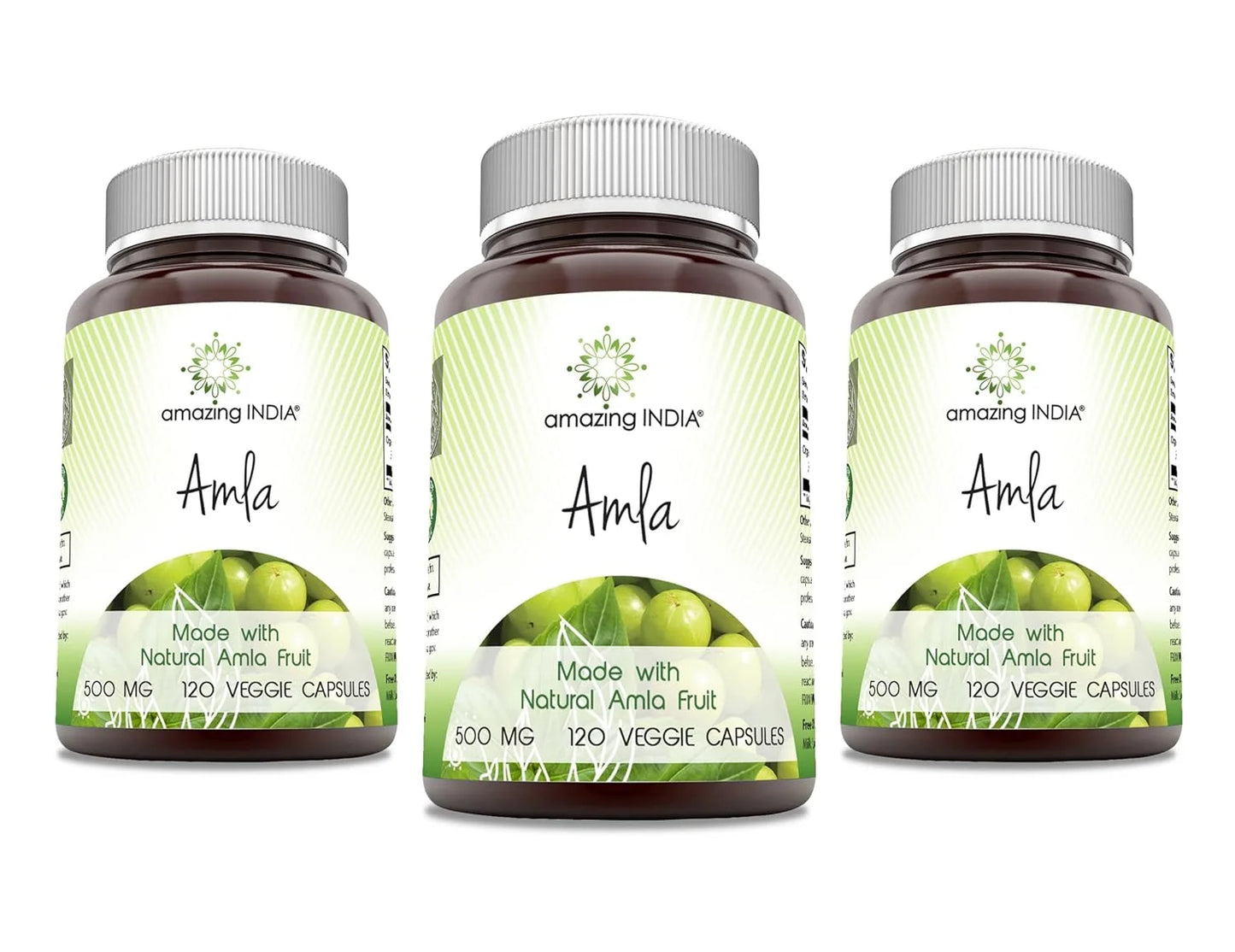 Amla 500 Mg per Serving 120 Veggie Capsules Supplement | Non-Gmo | Gluten Free | Made in USA | Suitable for Vegetarians | Pack of 3