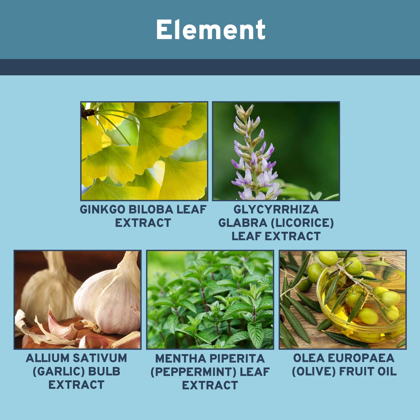 Ear Care Serum, Relieve Inner Ear Obstruction Ear Ringing Ear Discomfort Cochlear Ear Kang Care Solution