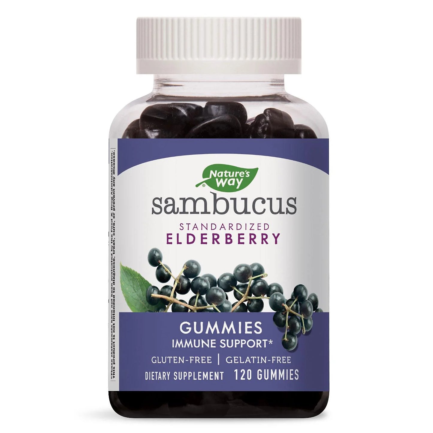 Sambucus Elderberry Herbal Gummies, Gluten Free (120 Count)