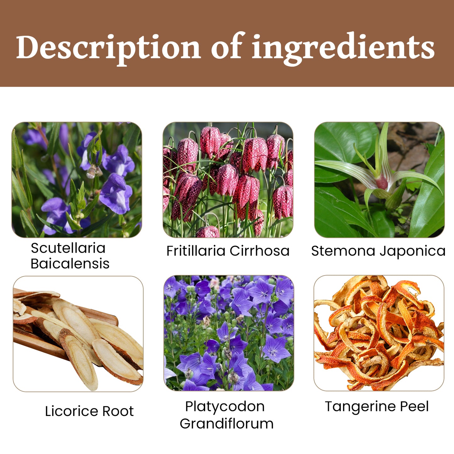 Expectorant Ointment, Body Care Relief Phlegm Throat Dry Itching Foreign Body Point Discomfort Repair Cream