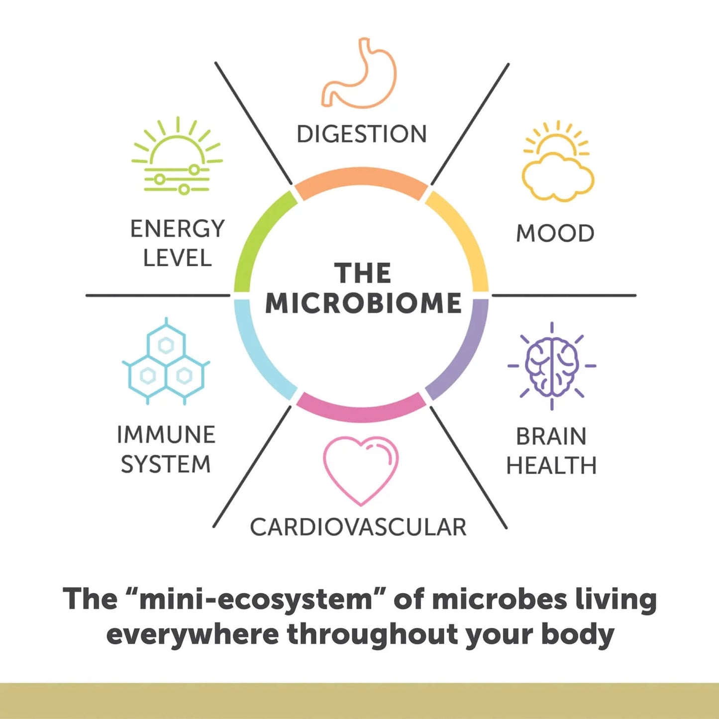 Aqua-Biome Fish Oil Maximum - Lemon 2,000 Mg 60 Sgels