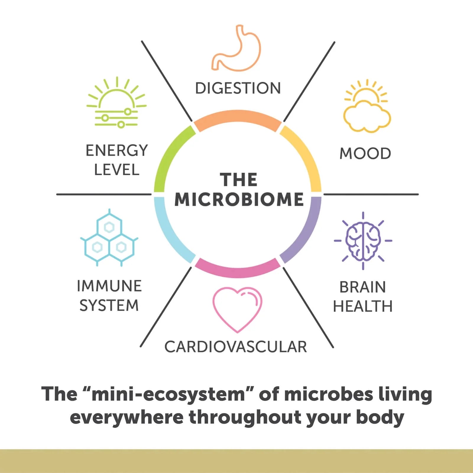 Aqua-Biome Fish Oil Maximum - Lemon 2,000 Mg 60 Sgels