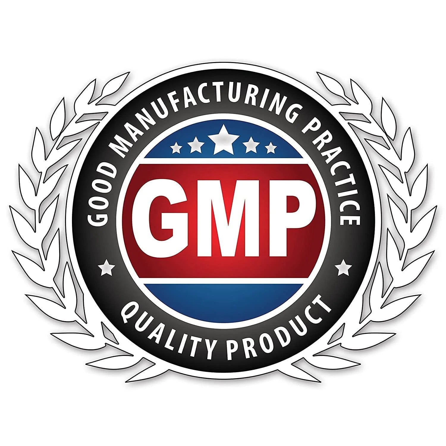 Amla 500 Mg per Serving 120 Veggie Capsules Supplement | Non-Gmo | Gluten Free | Made in USA | Suitable for Vegetarians | Pack of 3