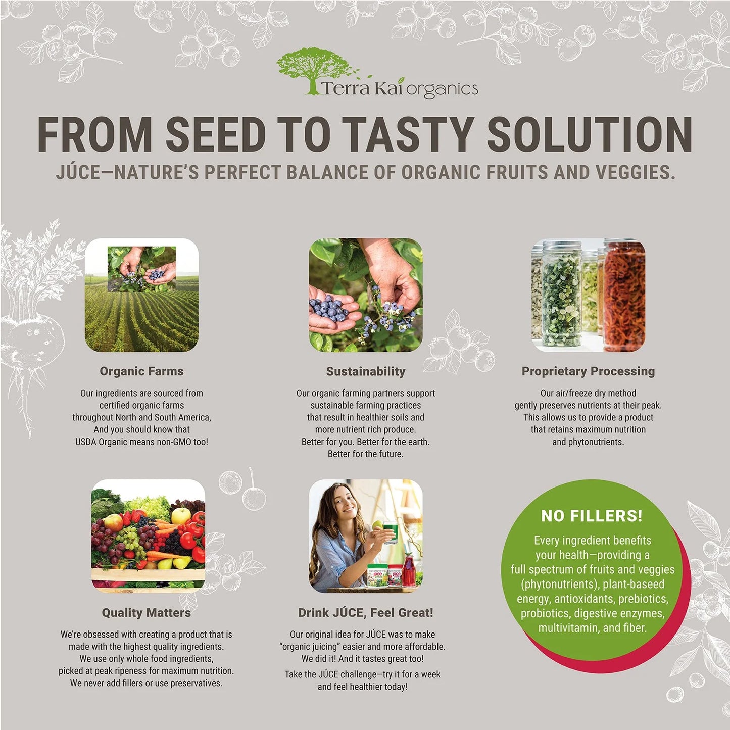 JUCE Greens Superfood Healthy Balance of Fruits and Veggies. Powder 8.82 Oz