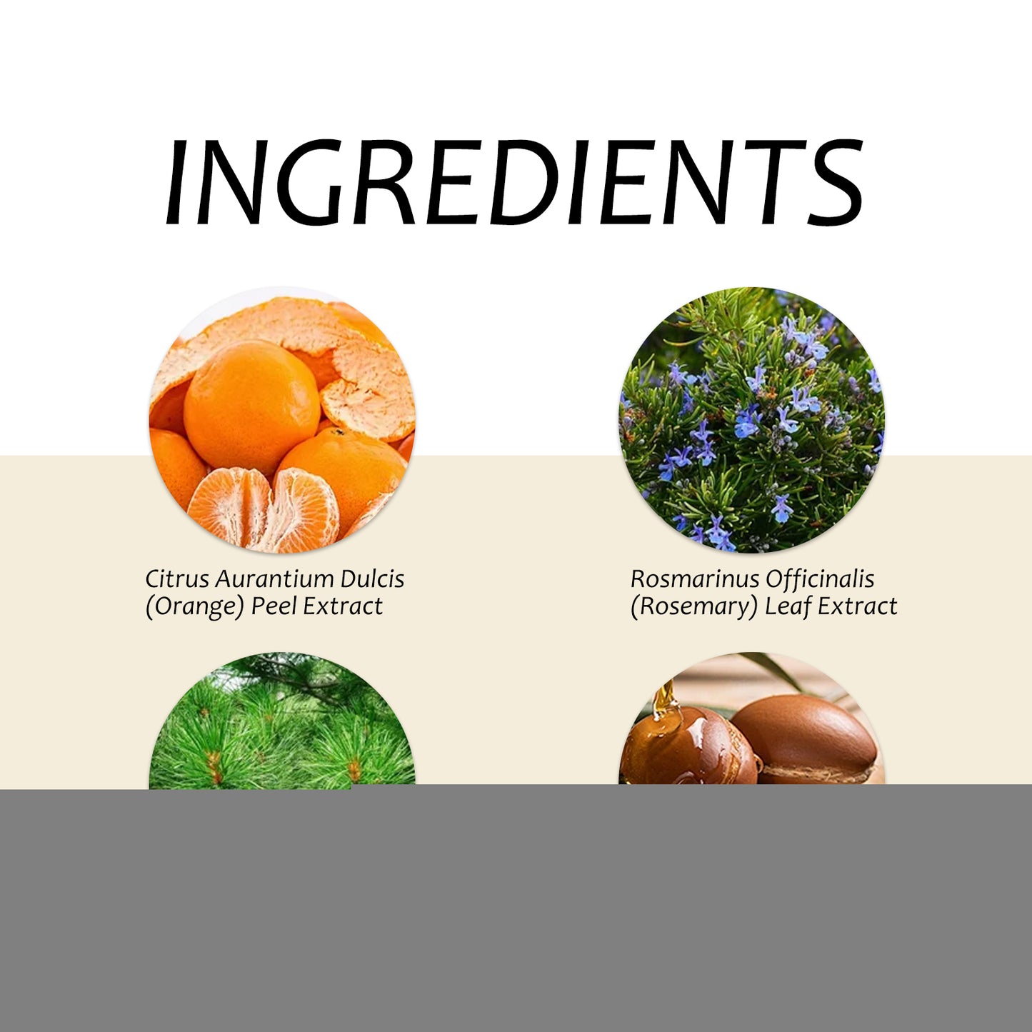 Nourishing Hand Sanitizer