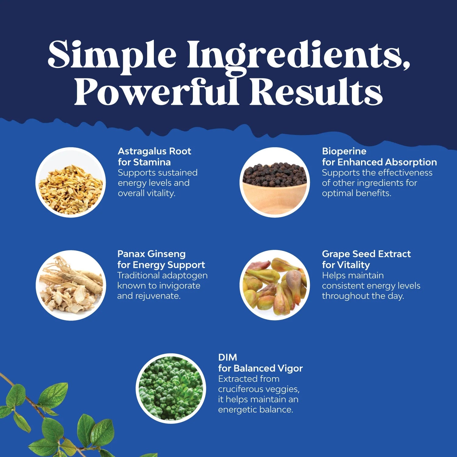 Advanced Diindolylmethane Dim Supplement for Men - Herbal Test Supplement for Men with Dim 200Mg per Serving Panax Ginseng Grapeseed Astragalus and Bioperine - Estrogen Hormone Balance Dim Complex