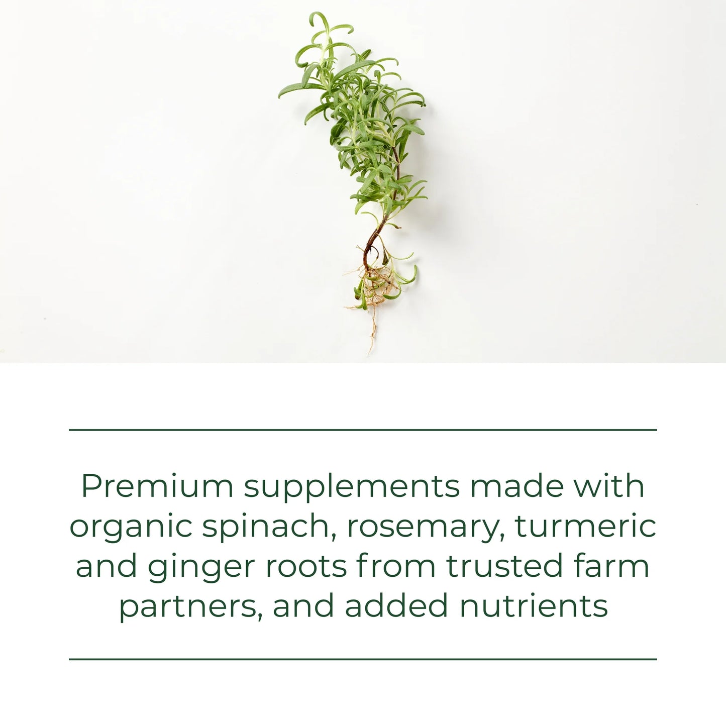 Selenium (50 Mcg) - Immune Support Supplement - Vegan, Non-Gmo - 60 Servings