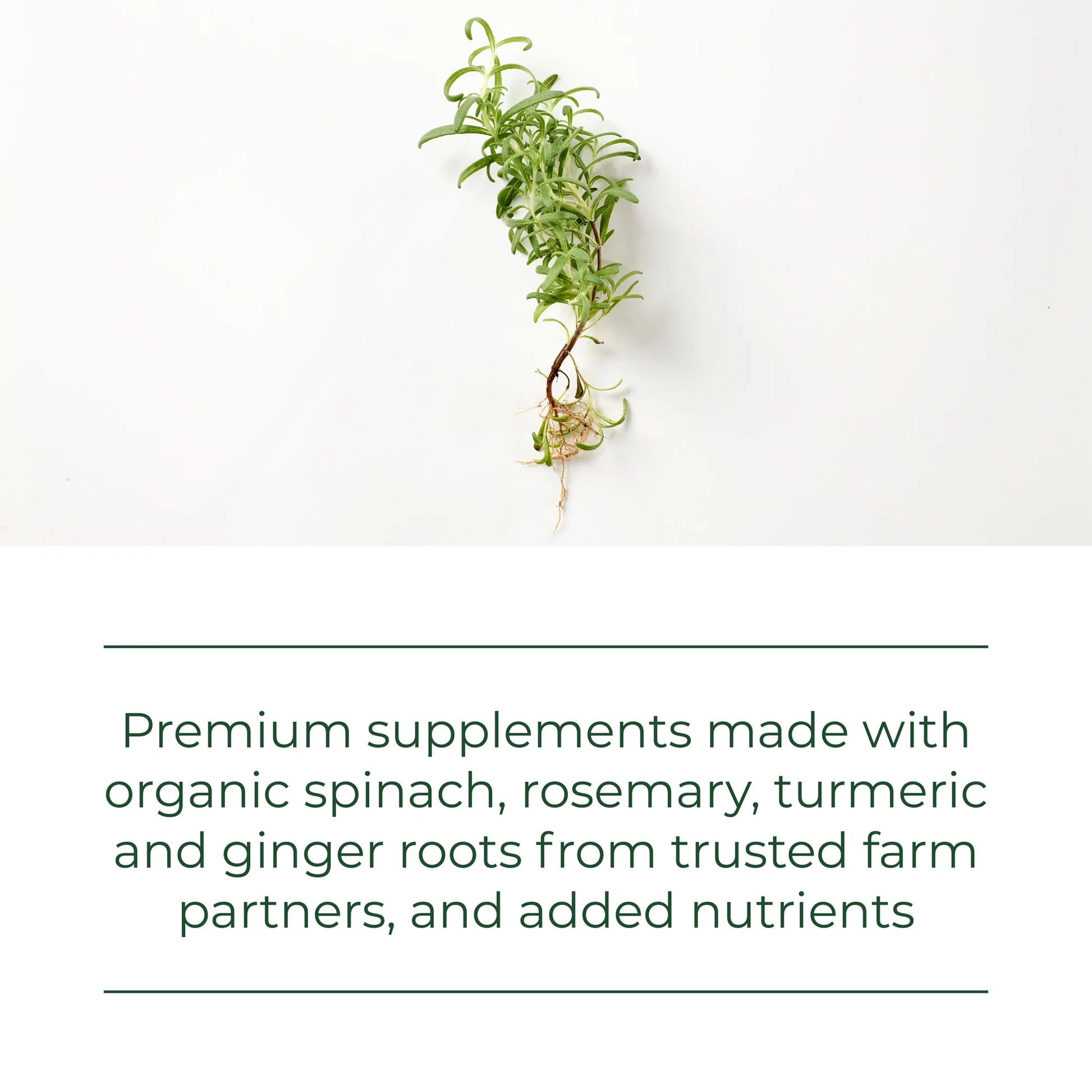 Selenium (50 Mcg) - Immune Support Supplement - Vegan, Non-Gmo - 60 Servings