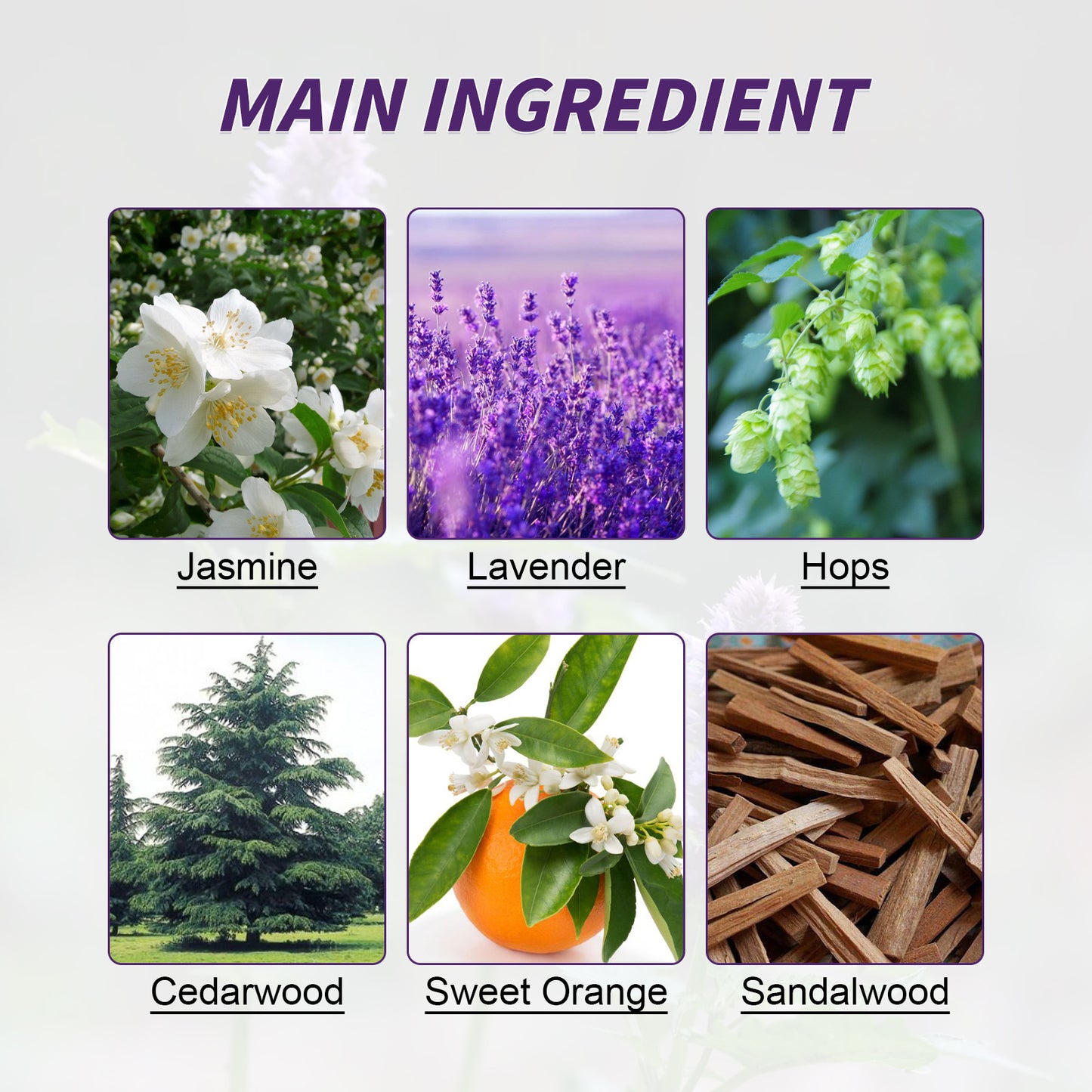 Herbal Sleep Patch, Care For Sleep, Relax And Relieve Body Pressure Body Health Care Point Patch