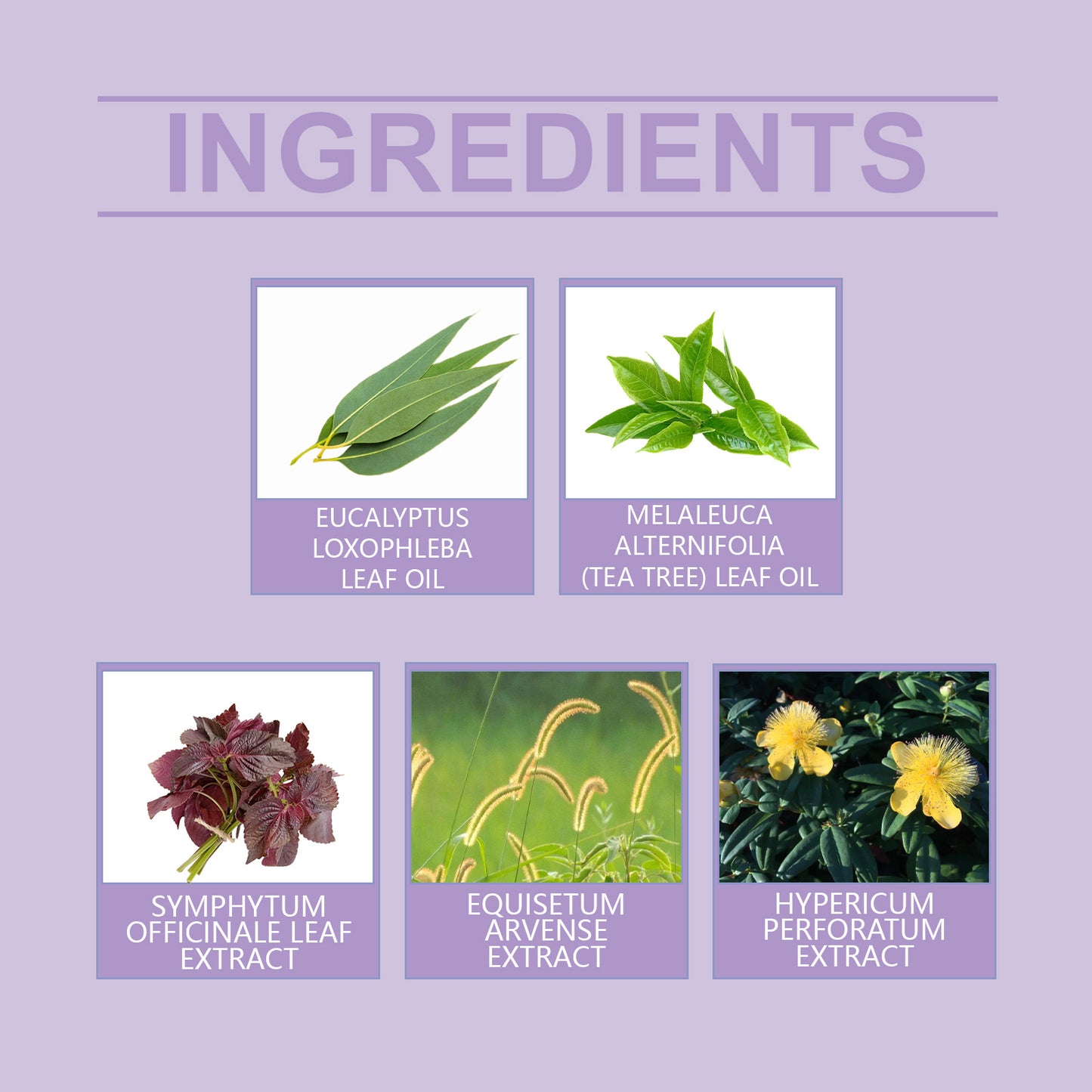 Comgrass Herbal Cream For Body Massage Treatment Herbal Essence For Soothing External Discomfort