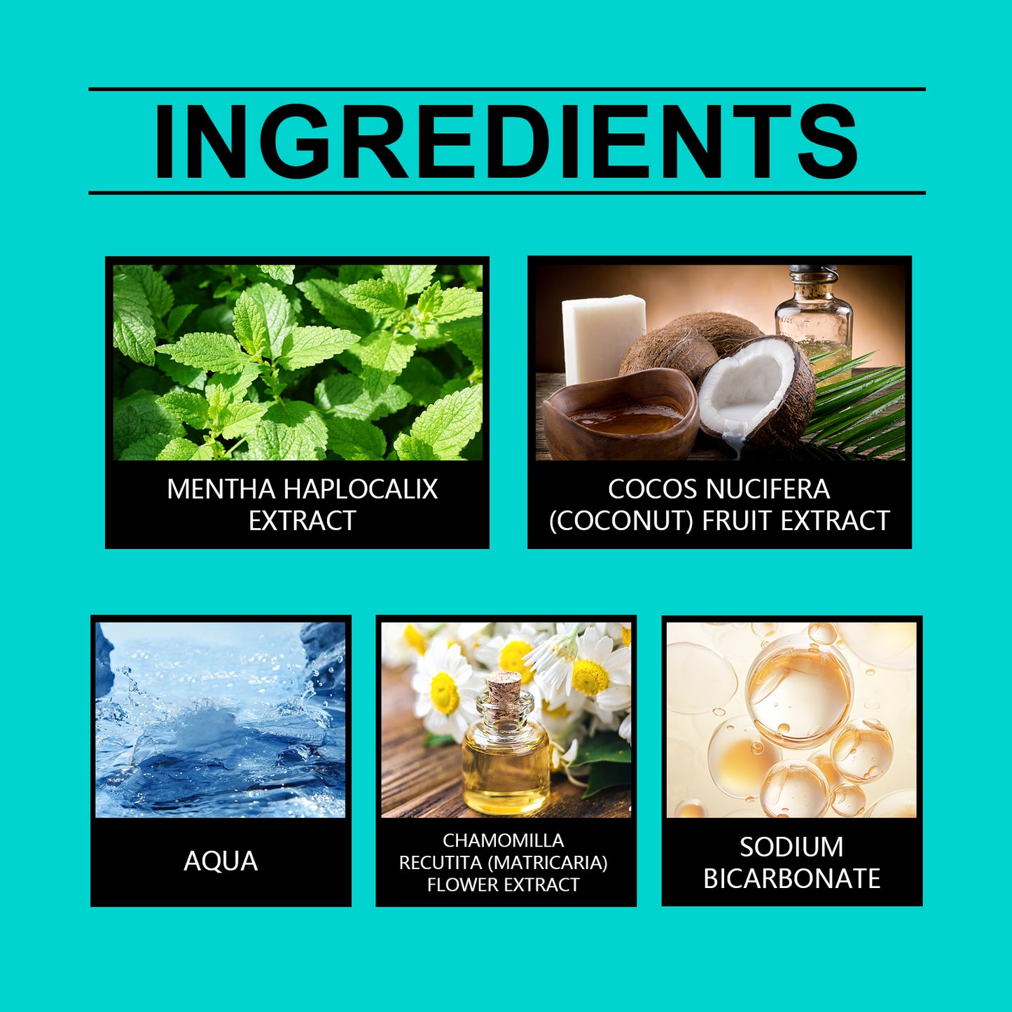 Coconut Mint Mouthwash Remove Stains, Freshen Breath And Clean Teeth With Convenient Care Mouthwash