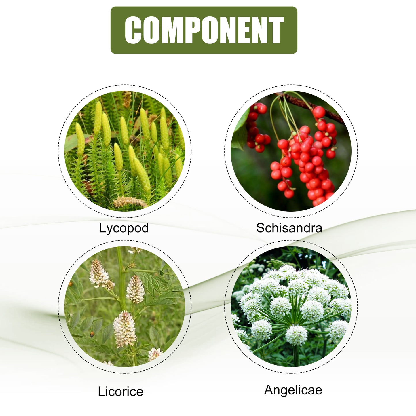 Leg Repair Cream Relieves Leg Discomfort Massage Leg Repair Cream For Raised Veins