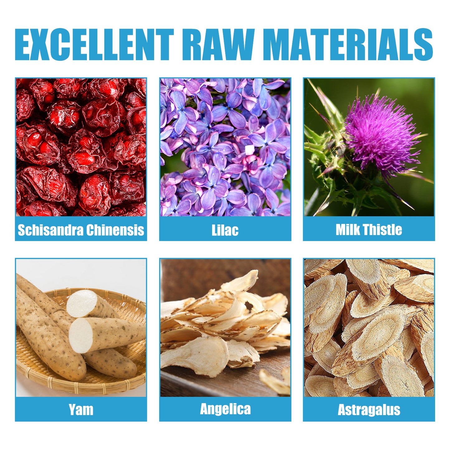 Body Care Patch, Ease Back Pain And Discomfort Lock Yang Kidney Health Body Care Patch