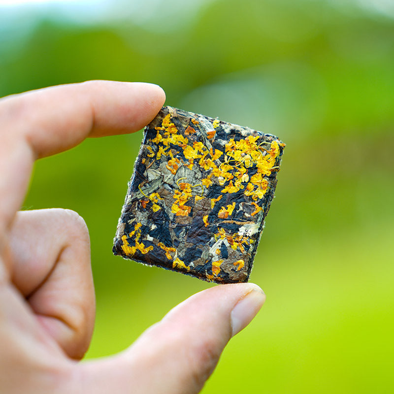 Yunnan Bulk Chrysanthemum Camellia Bag