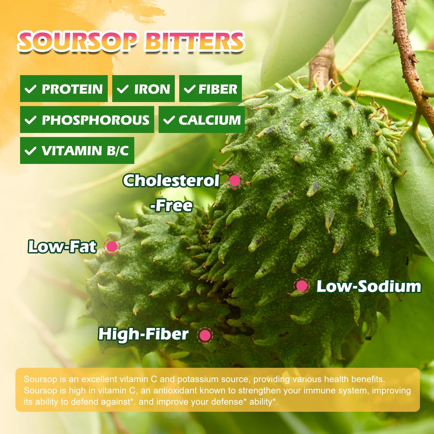 BEWORTHS 60ML Soursop Graviola Extract Drops Black Seed Oil Support Immunity and Kidney Health,Detox,Antioxidation Gluten-Free