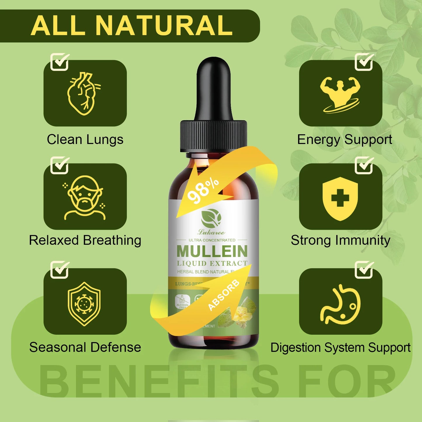 BBEEAAUU 1000mg Mullein Leaf Extract Drops for Lung Health Relaxed Breathing Support Immune and Digestive System Health