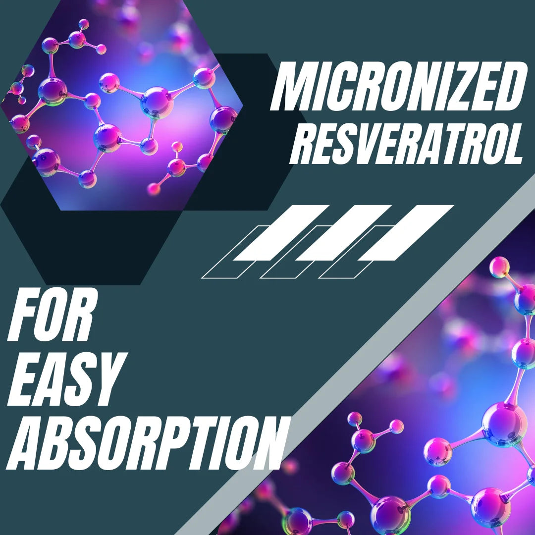 High Potency Micronized Resveratrol Supplement. 2 for 1 Ad. Potent Antioxidants Supplement, Trans Resveratrol for Heart Health, Promotes anti Aging & Cognitive Support