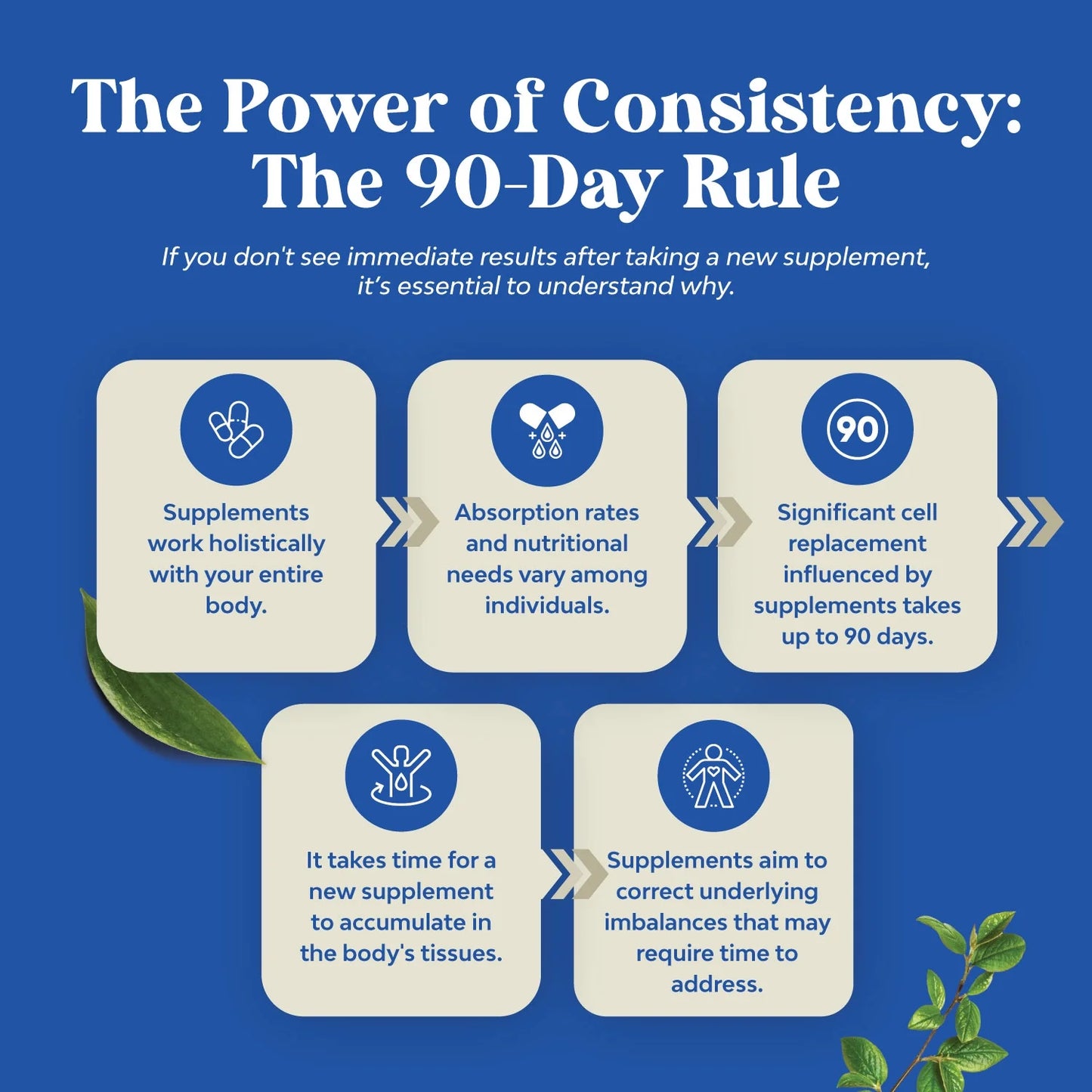 Advanced Diindolylmethane Dim Supplement for Men - Herbal Test Supplement for Men with Dim 200Mg per Serving Panax Ginseng Grapeseed Astragalus and Bioperine - Estrogen Hormone Balance Dim Complex