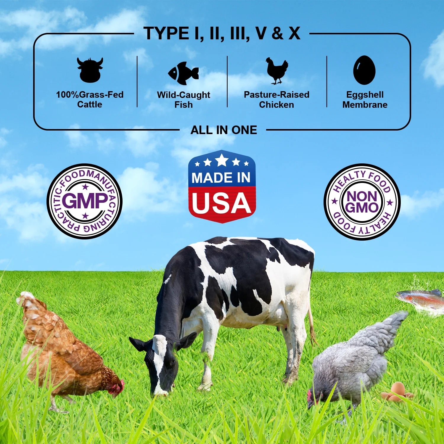 Multi Collagen Peptides Powder 16Oz, Hydrolyzed Collagen Protein Powder Collagen Types I,II,III,V,X, Chocolate &Coconut Flavor, 41 Servings